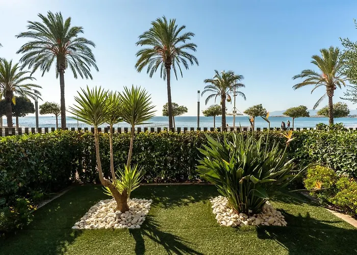 Ballena Apartament *